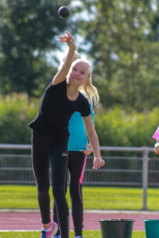 Fotograaf: Sjoerd de Roos, foto nummer: IMG_2766