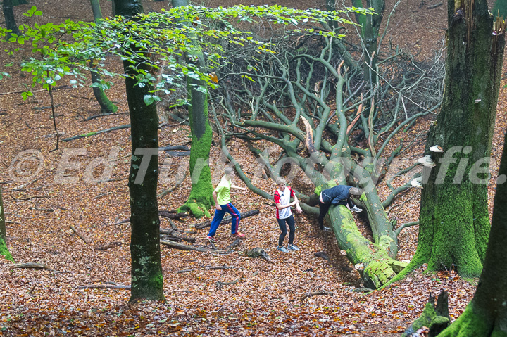 Fotograaf: Ed Turk, foto nummer: _ED44184