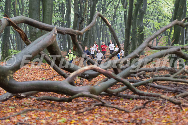 Fotograaf: Ed Turk, foto nummer: _ET40535