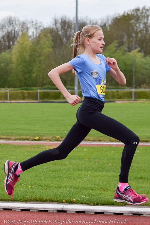 Fotonummer: DSC_0100, camera: NIKON D3300, lens: 55.0-300.0 mm f/4.5-5.6, 1/1600 sec. bij f / 4,5, ISO 200