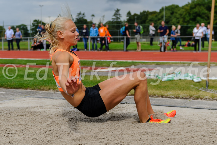 Photo number:_ED71341 (Vorige = Previous - Volgende = Next)
