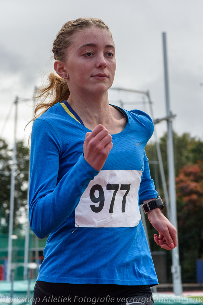 Foto nummer: _MCK5353, camera: NIKON D7200, lens: 18.0-105.0 mm f/3.5-5.6, 1/1250 sec. bij f / 9,0, ISO 900