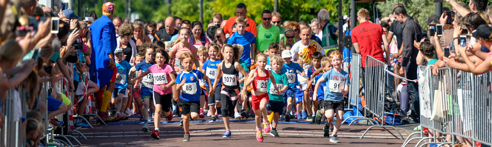 Wateringseveldloop