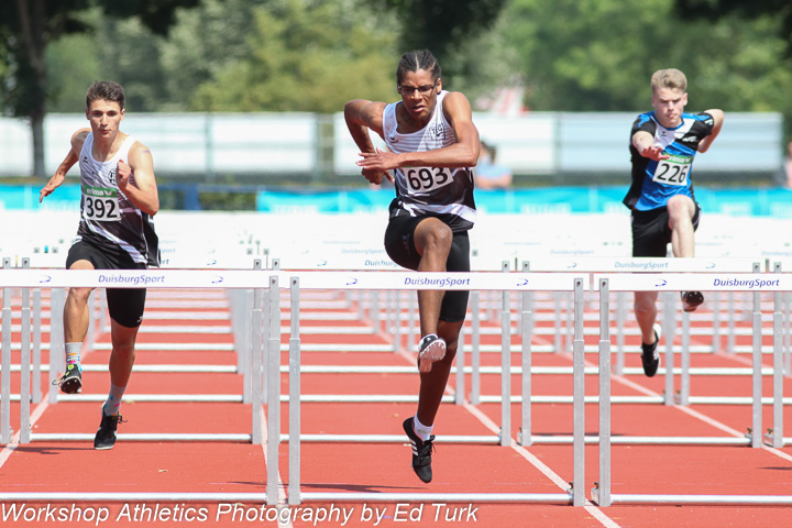 Photo number: IMG_4932, Canon EOS 5D Mark II, EF300mm f/4L IS USM, 1/1600 sec. bij f / 5,0, ISO 400