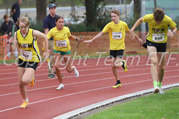 Credit: ETF /  Sjoerd de Roos; Photonumber IMG_1958