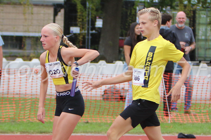 Credit: ETF /  Linda Rozema; Photonumber LR7L1832