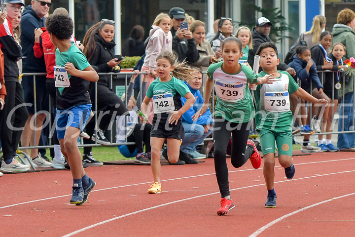 Credit: ETF /  Ed Turk; Fotonummer 25M_4999