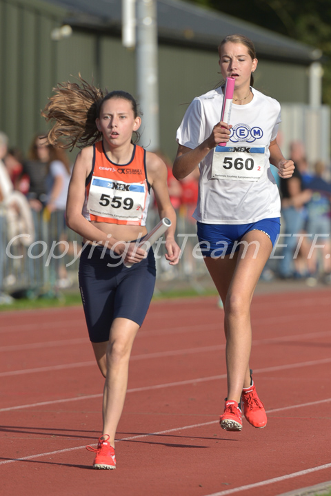 Credit: ETF / Ayuna Pollarini; Fotonummer APL_6798