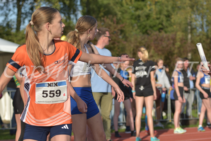 Credit: ETF / Ayuna Pollarini; Fotonummer APL_6932