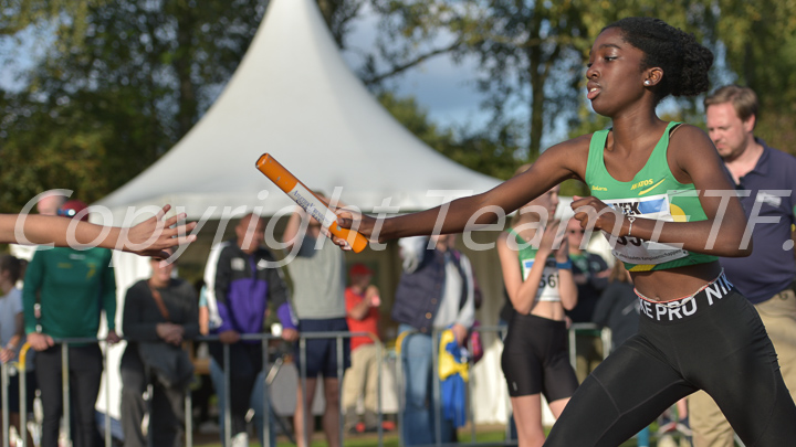 Credit: ETF / Ayuna Pollarini; Fotonummer APL_6961