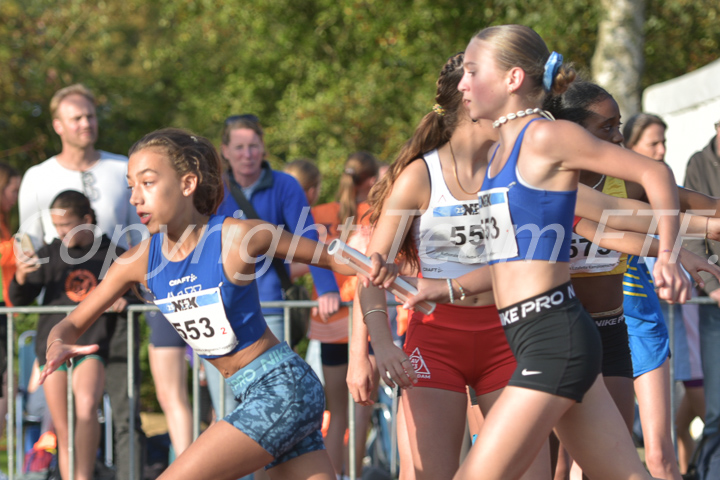 Credit: ETF / Ayuna Pollarini; Fotonummer APL_7047