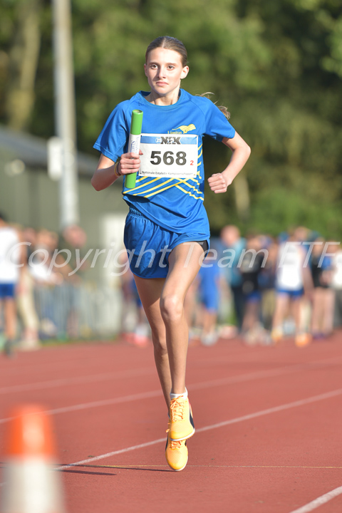 Credit: ETF / Ayuna Pollarini; Fotonummer APL_7108