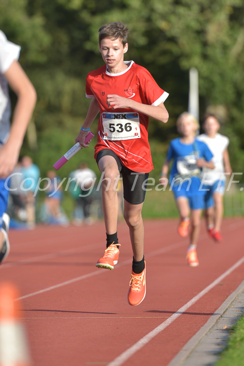 Credit: ETF / Ayuna Pollarini; Fotonummer APL_7272