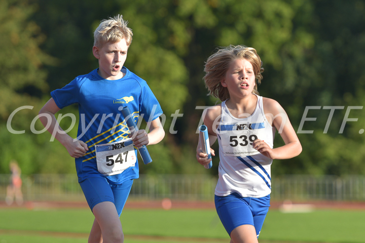 Credit: ETF / Ayuna Pollarini; Fotonummer APL_7364