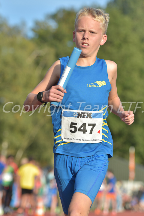 Credit: ETF / Ayuna Pollarini; Fotonummer APL_7511