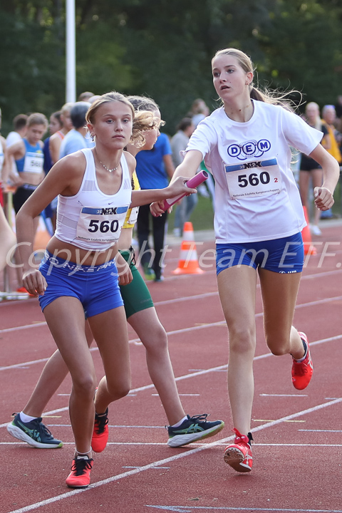 Credit: ETF /  Sjoerd de Roos; Fotonummer IMG_7064