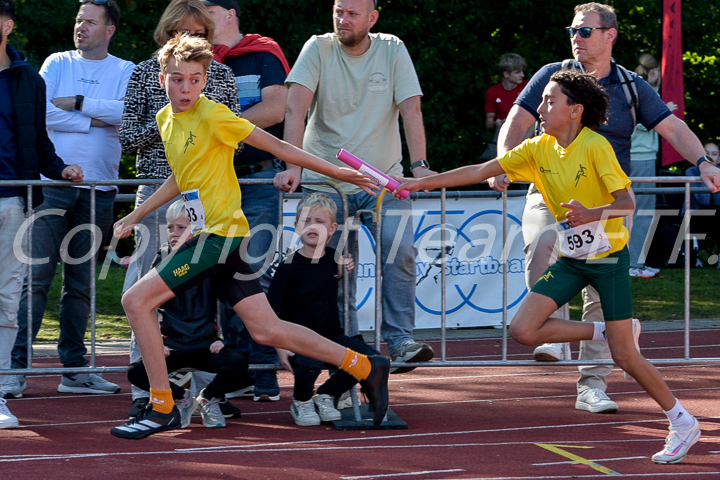 Credit: ETF / Ayuna Pollarini; Fotonummer APL_3033