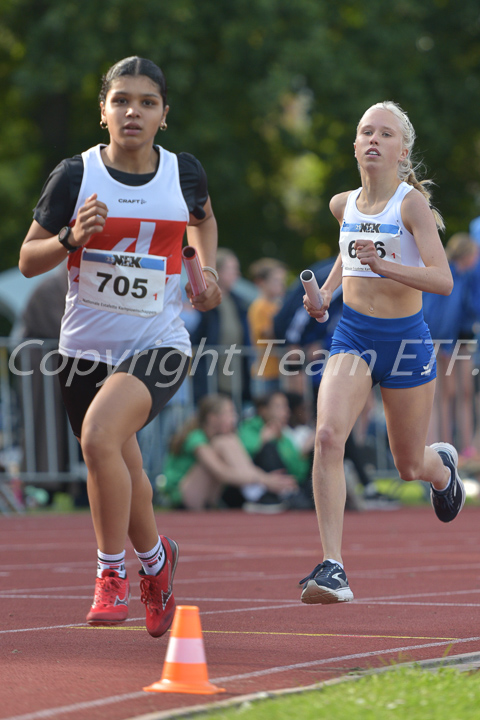 Credit: ETF / Ayuna Pollarini; Fotonummer APL_5347