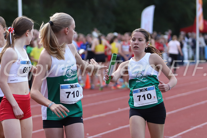 Credit: ETF /  Sjoerd de Roos; Fotonummer IMG_5775