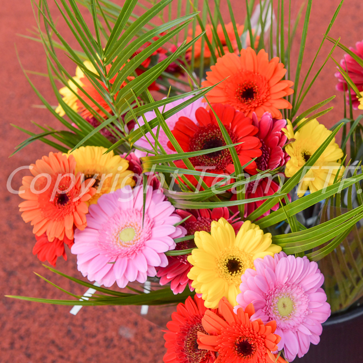 Credit: ETF /  Ed Turk; Fotonummer 25K_3743